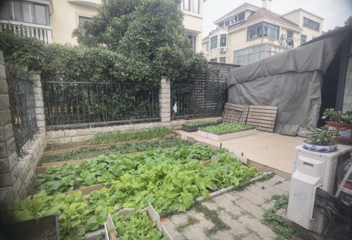 上海龙珠花苑英国会在售二手房源小区图_小牛看房