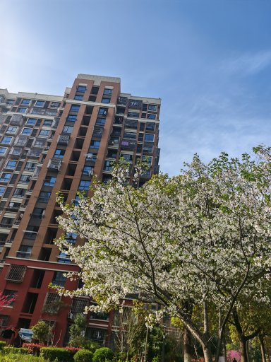 上海申城佳苑二期A块在售二手房房源图片