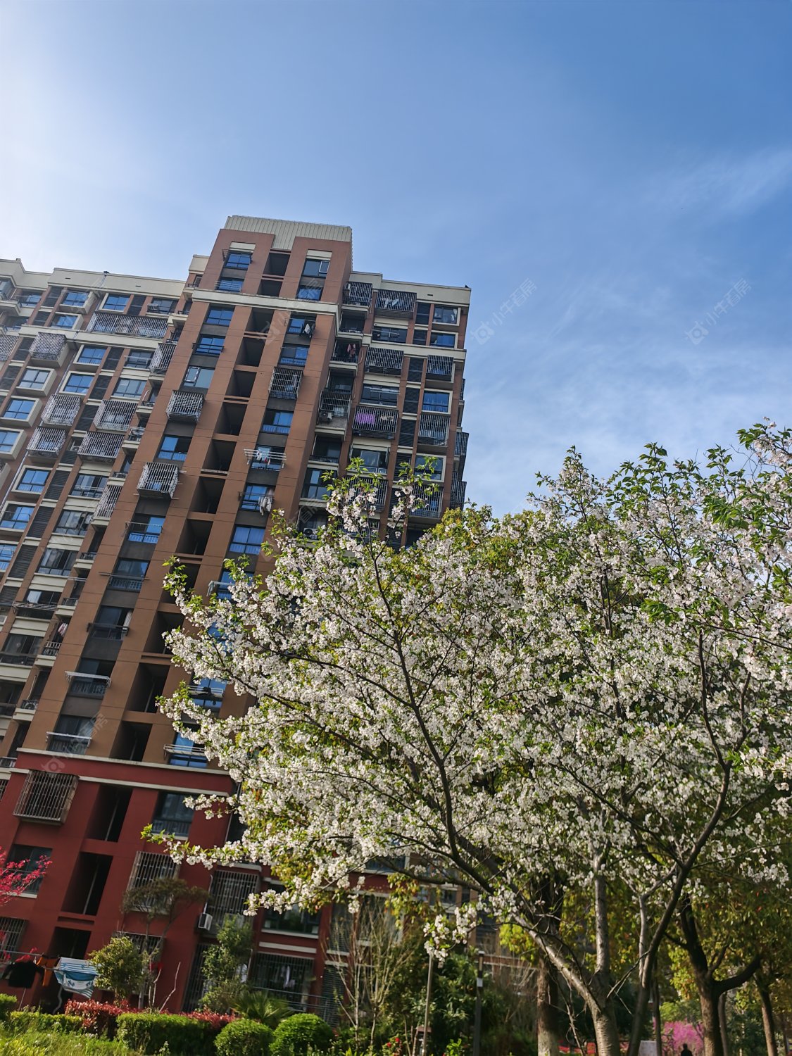 上海申城佳苑二期A块在售二手房源室内图_小牛看房