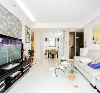 上海金沙雅苑滨湖世家3室2厅2卫在售二手房房源图片