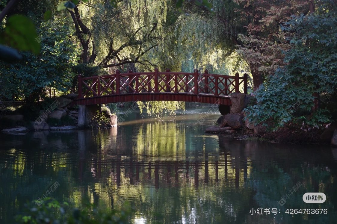 上海九城湖滨国际在售二手房源室内图_小牛看房