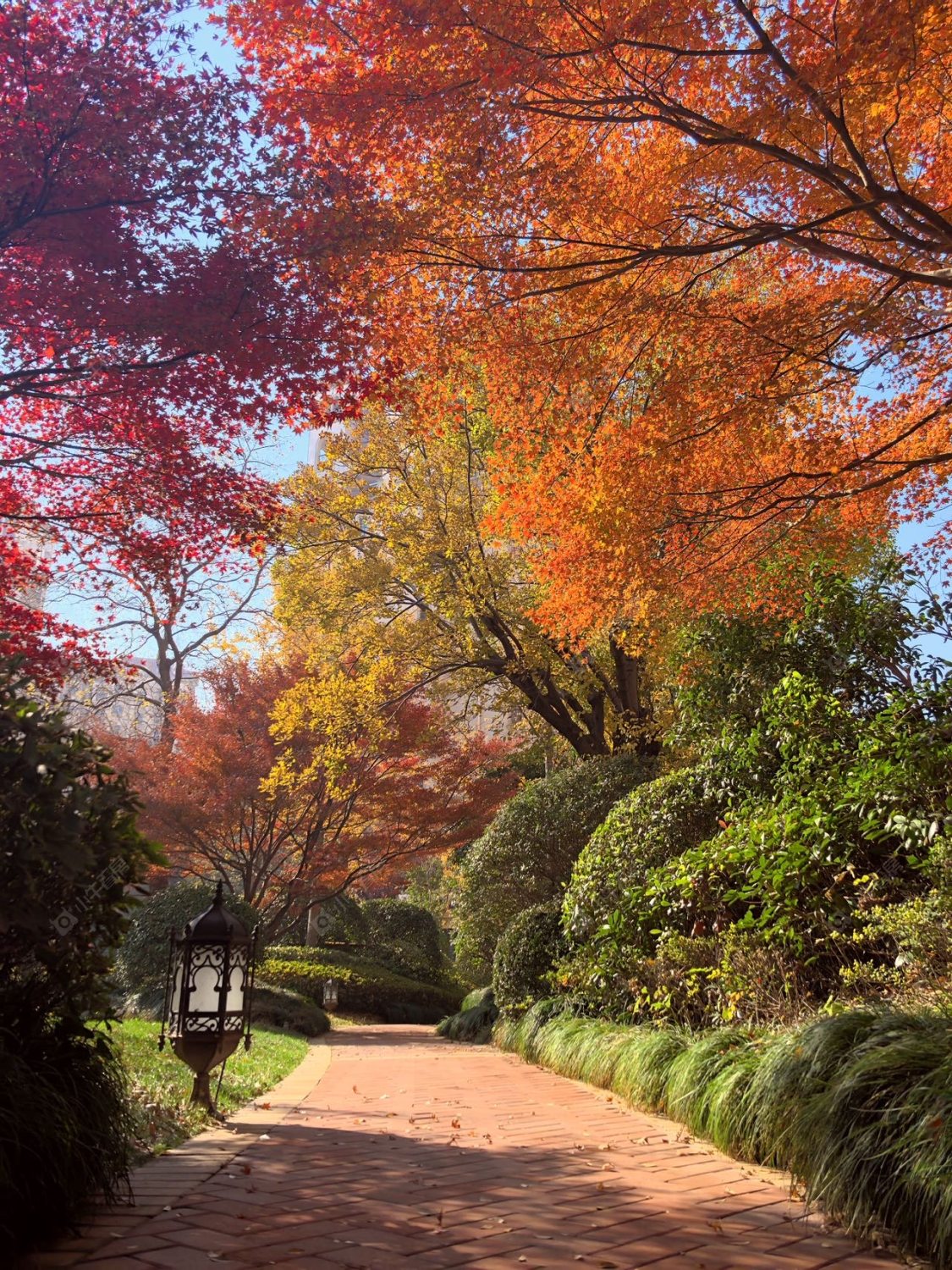 上海马德里洋房在售二手房源室内图_小牛看房