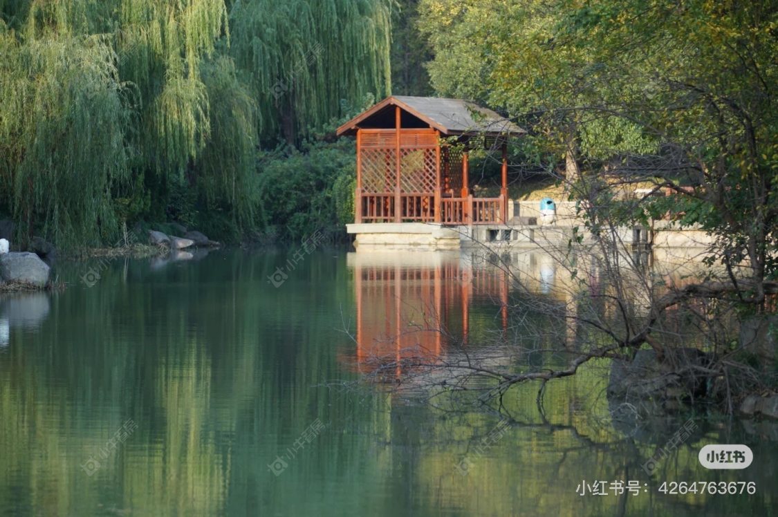 上海九城湖滨国际在售二手房源室内图_小牛看房