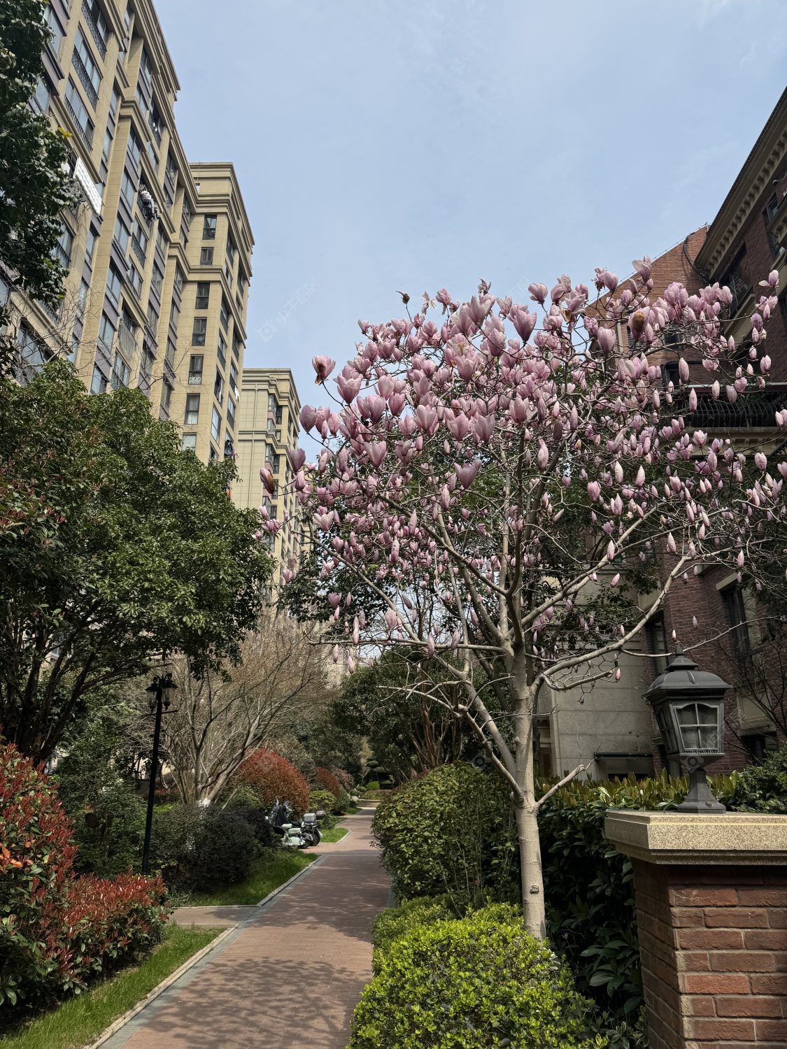 上海仁和都市花园在售二手房源室内图_小牛看房