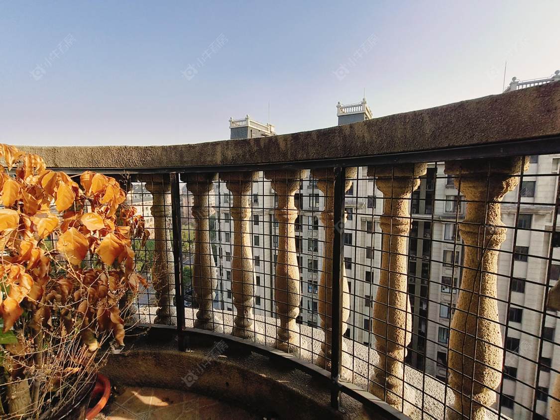 上海远洋7号在售二手房源小区图_小牛看房