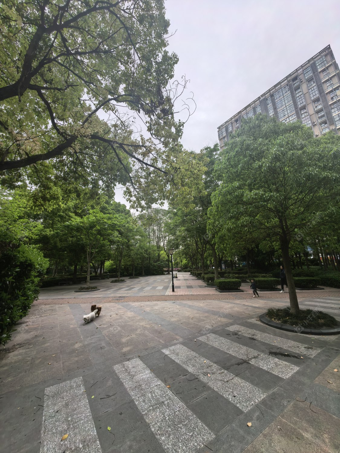 上海禹洲金桥国际三期在售二手房源室内图_小牛看房