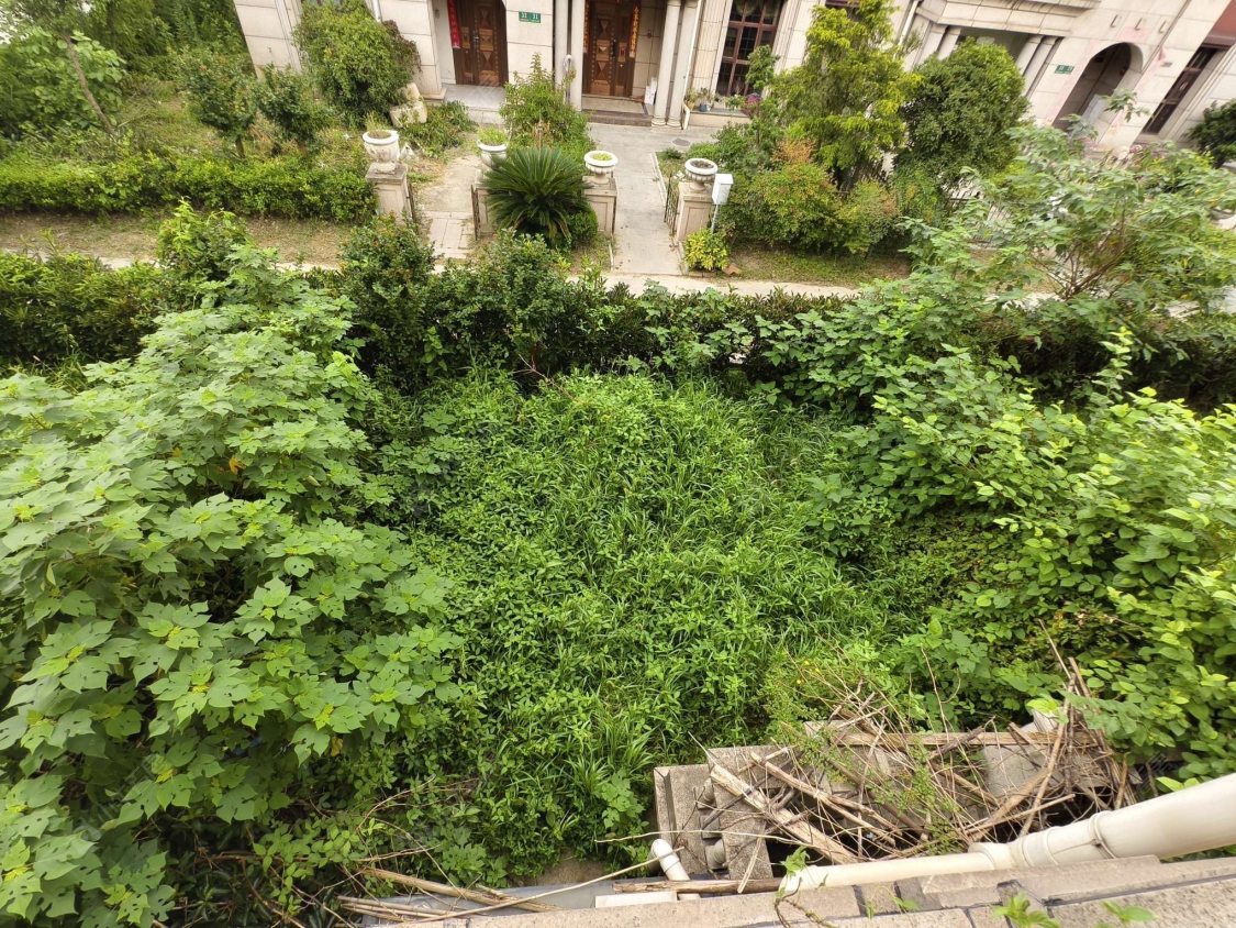 上海璟储新和湾别墅区在售二手房源小区图_小牛看房