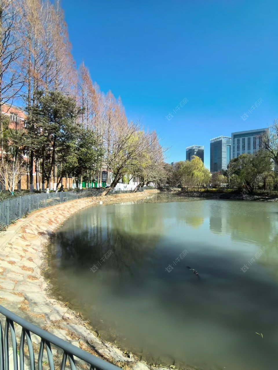 上海王家宅小区在售二手房源室内图_小牛看房