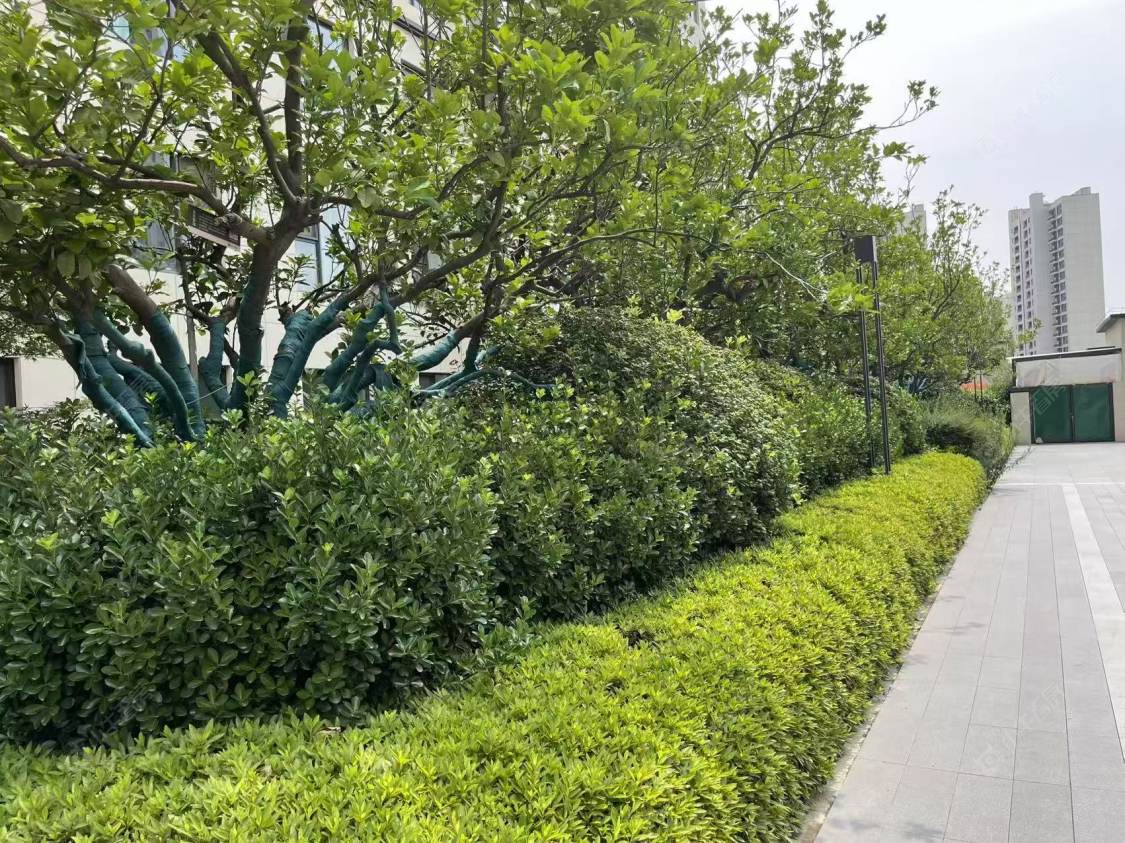 上海保利云上澄光在售二手房源室内图_小牛看房