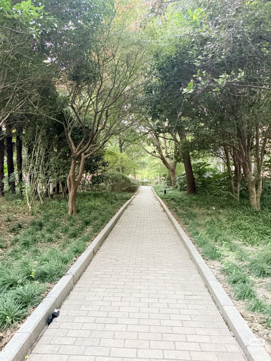 上海地杰国际城F欧香四季在售二手房源室内图_小牛看房