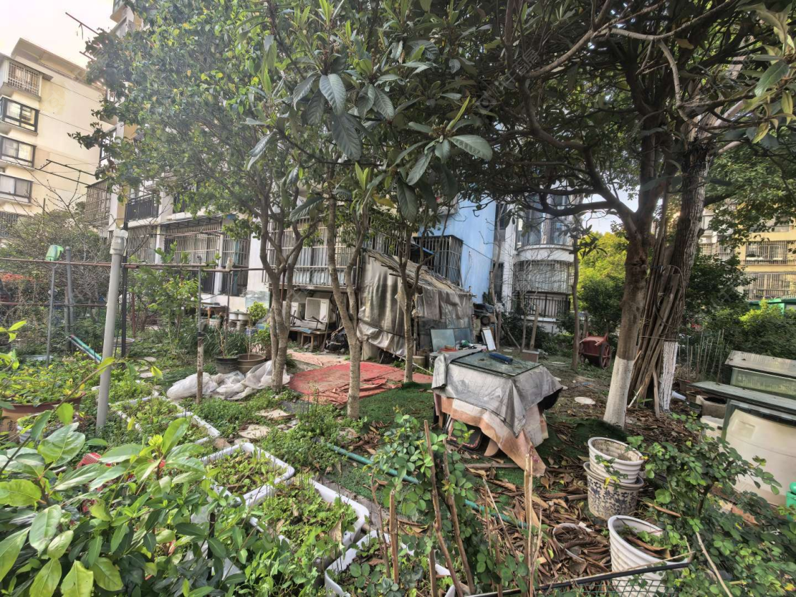 上海菊泉新城爱建顾园西区在售二手房源小区图_小牛看房