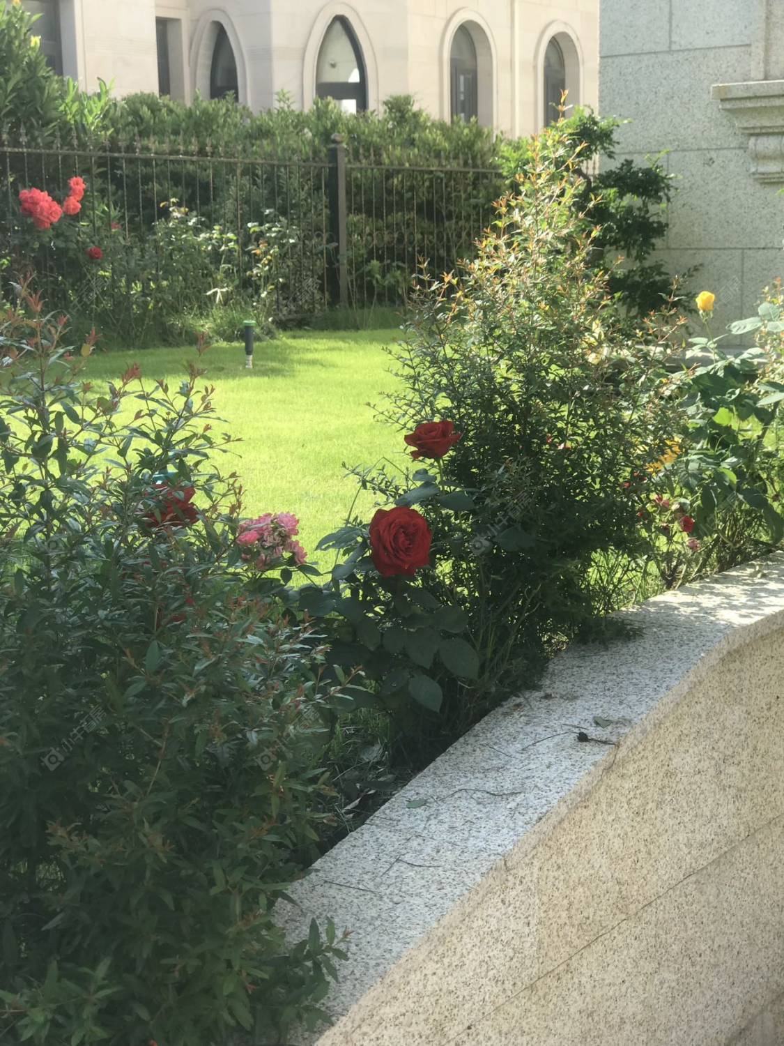 上海爱法奥朗新庄园在售二手房源摆位图_小牛看房