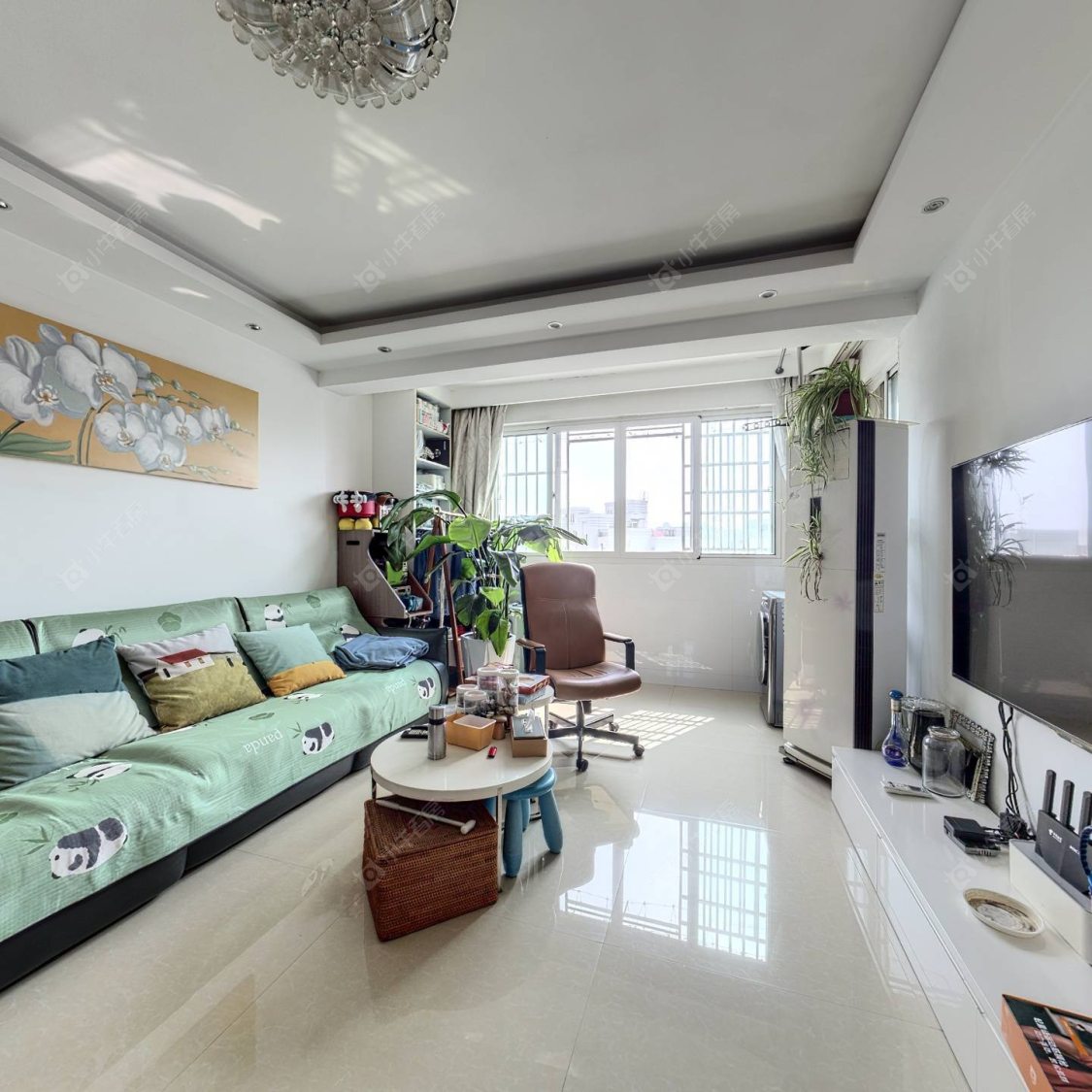 上海采菊苑在售二手房源摆位图_小牛看房