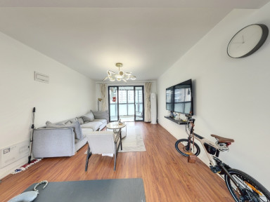 上海象源丽都3室2厅2卫在售二手房房源图片