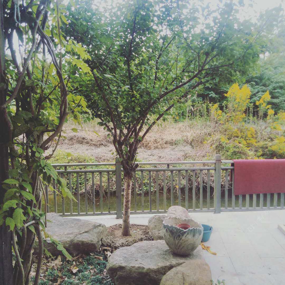 上海远洋鸿郡在售二手房源小区图_小牛看房