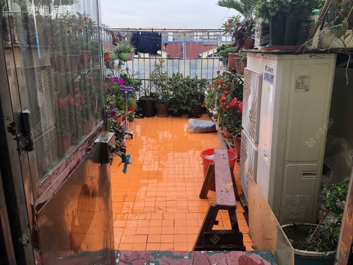 上海妙栏小区在租房源小区图_小牛看房