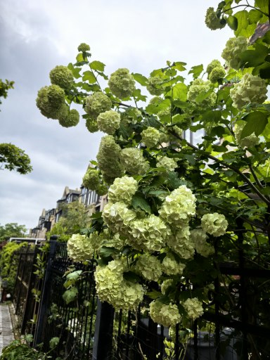 上海长泰东郊御园别墅区在售二手房_小牛看房