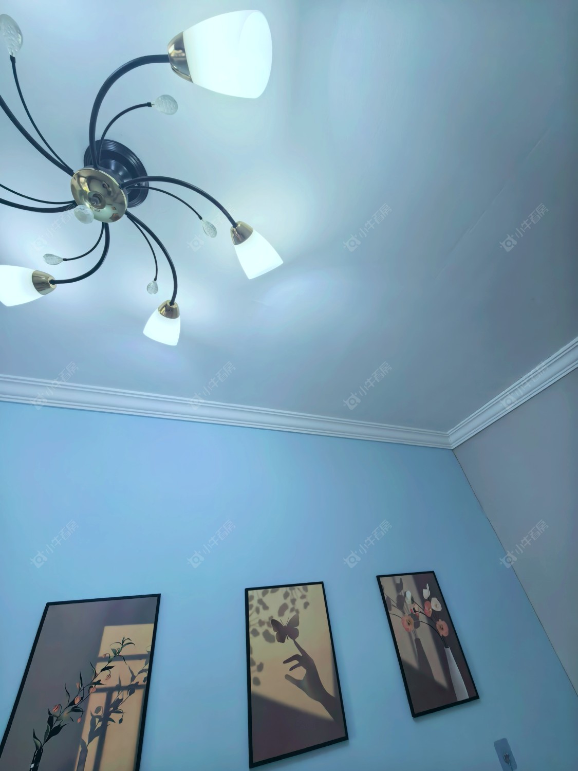 上海莲康苑在租房源户型图_小牛看房