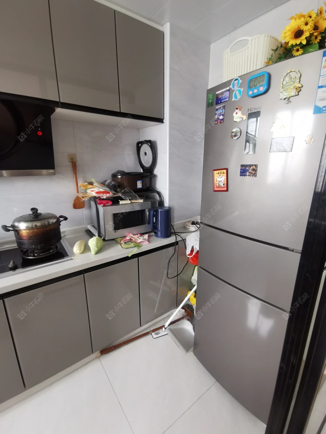 上海万业紫辰苑在租房源_小牛看房