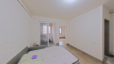 上海练祁佳城阳光嘉苑450弄1室1厅1卫在售二手房房源图片