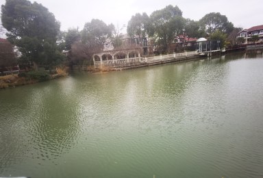 上海佘山银湖别墅在售二手房房源图片