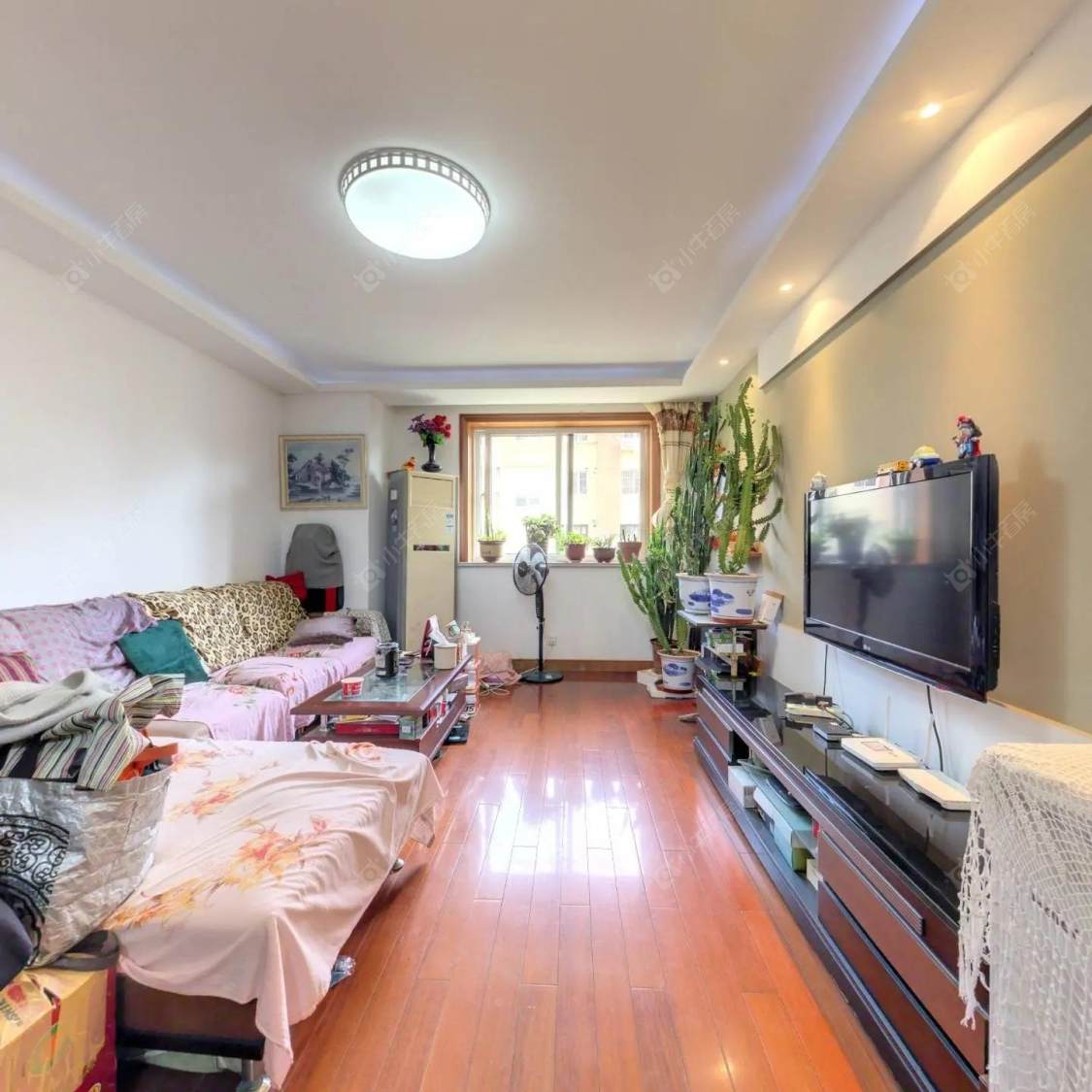 上海海尚菊苑南区在售二手房源小区图_小牛看房