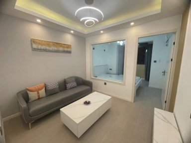 上海大金更小区出租房源图片