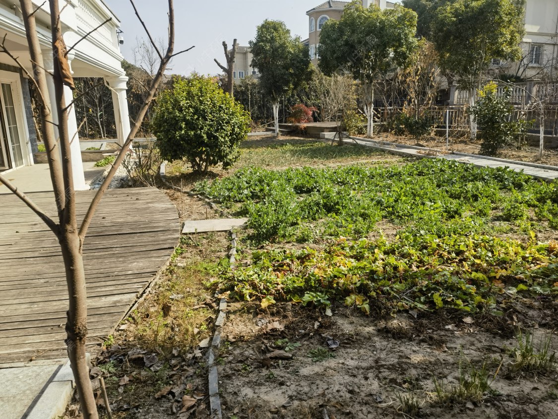 上海绿洲千岛花园在售二手房源室内图_小牛看房