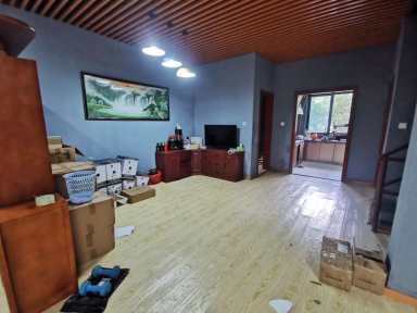 上海美兰金邸4室2厅3卫在售二手房房源图片