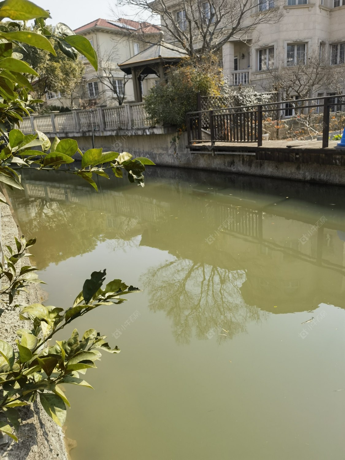 上海绿洲千岛花园在售二手房源室内图_小牛看房