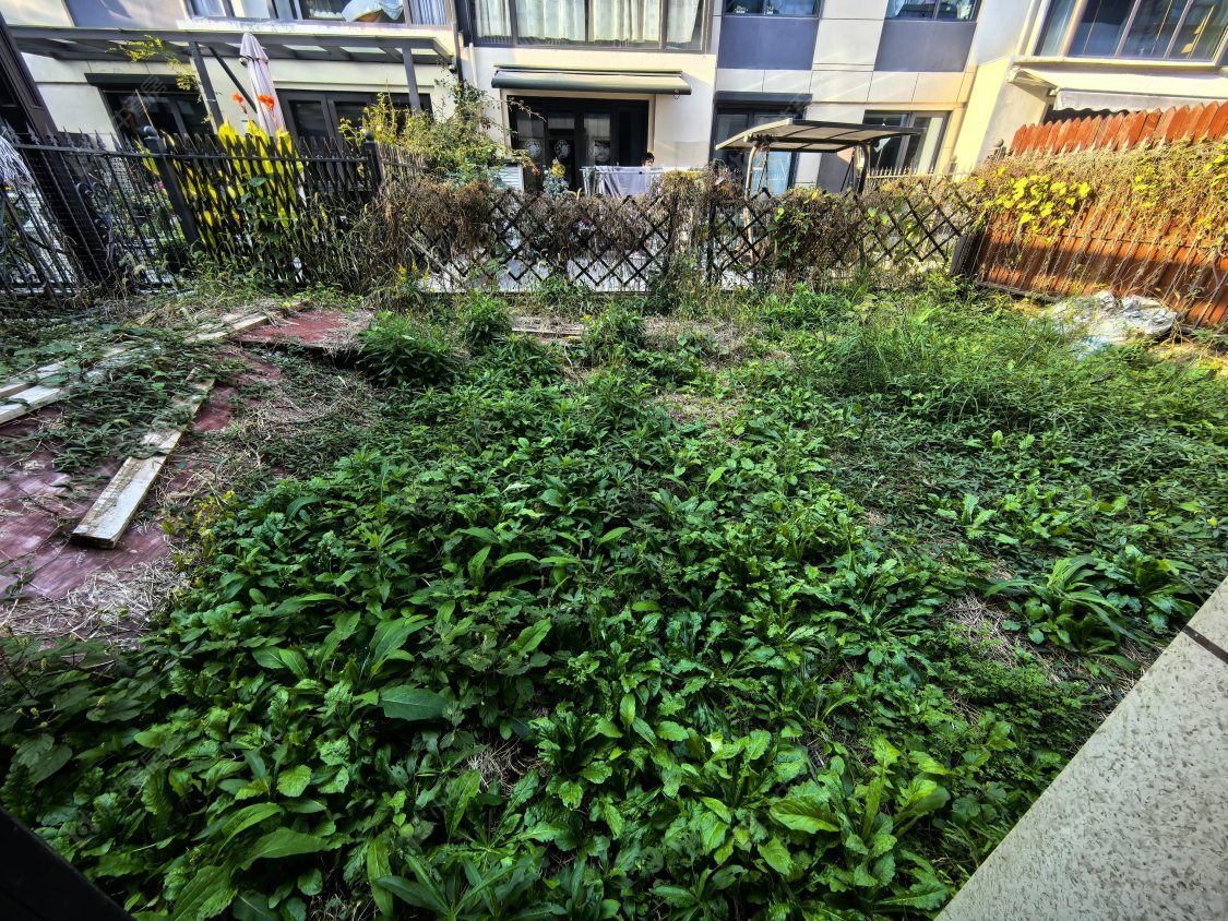 上海雍和府别墅区在售二手房源小区图_小牛看房