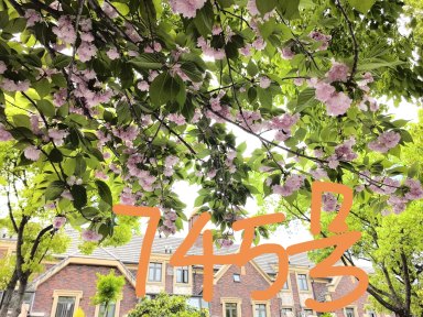 上海长泰东郊御园别墅区在售二手房_小牛看房