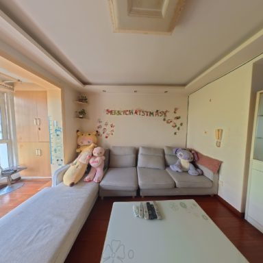 上海三林世博家园E区在售二手房_小牛看房